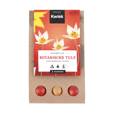 Kraft buideltje met 3 botanische tulpen - Kwiek BloemBollen