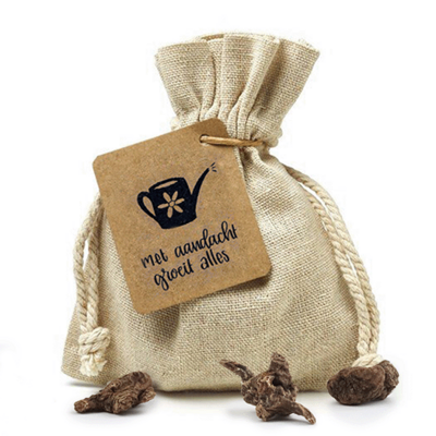 Met aandacht groeit alles - Bloembollen in linnenzakje