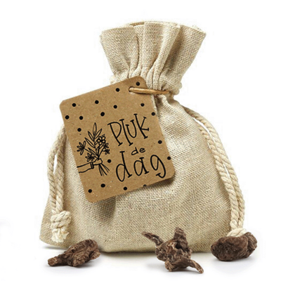 Pluk de dag - Bloembollen in linnenzakje