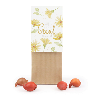 Jij bent goud waard - Bloembollen in kraft stazakje // MIJKSJE