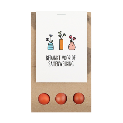 Bedankt voor de samenwerking - Bloembollen in buidel // Eef