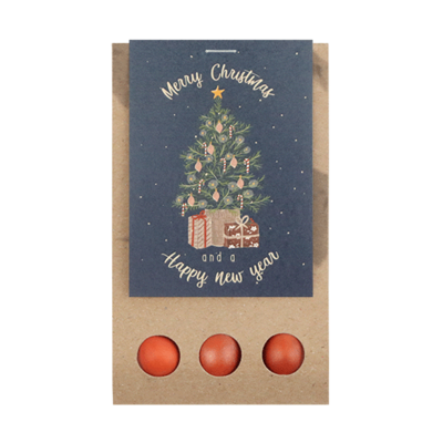 Merry Christmas and a happy new year - Bloembollen in buidel // Mijksje