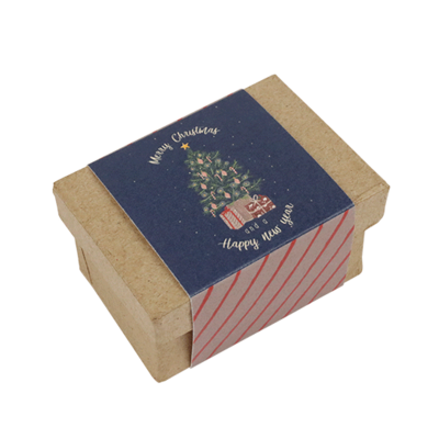 Merry Christmas and a happy new year - Zaadbommetjes in papier maché doosje // Mijksje