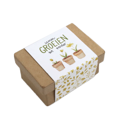 Samen groeien we verder - Zaadbommetjes in papier maché doosje // Mijksje