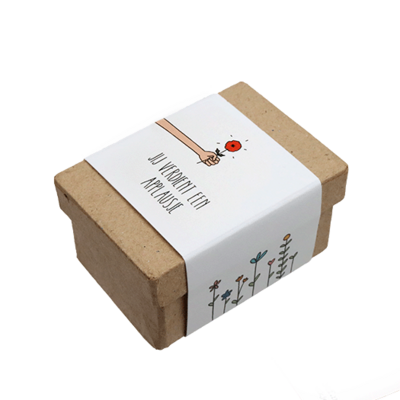 Jij verdient een applausje - Zaadbommetjes in papier maché doosje // Eef