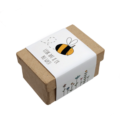 Leuk dat je er bij was! - Zaadbommetjes in papier maché doosje // Eef