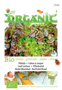 Biologische Pluksla Red Salad Bowl zaden
