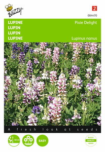 Lupine zaden