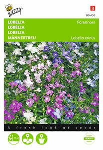 Lobelia zaden kweken